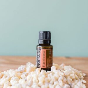 Encens Boswellia Carterii, frereana, sacra et papyrifera